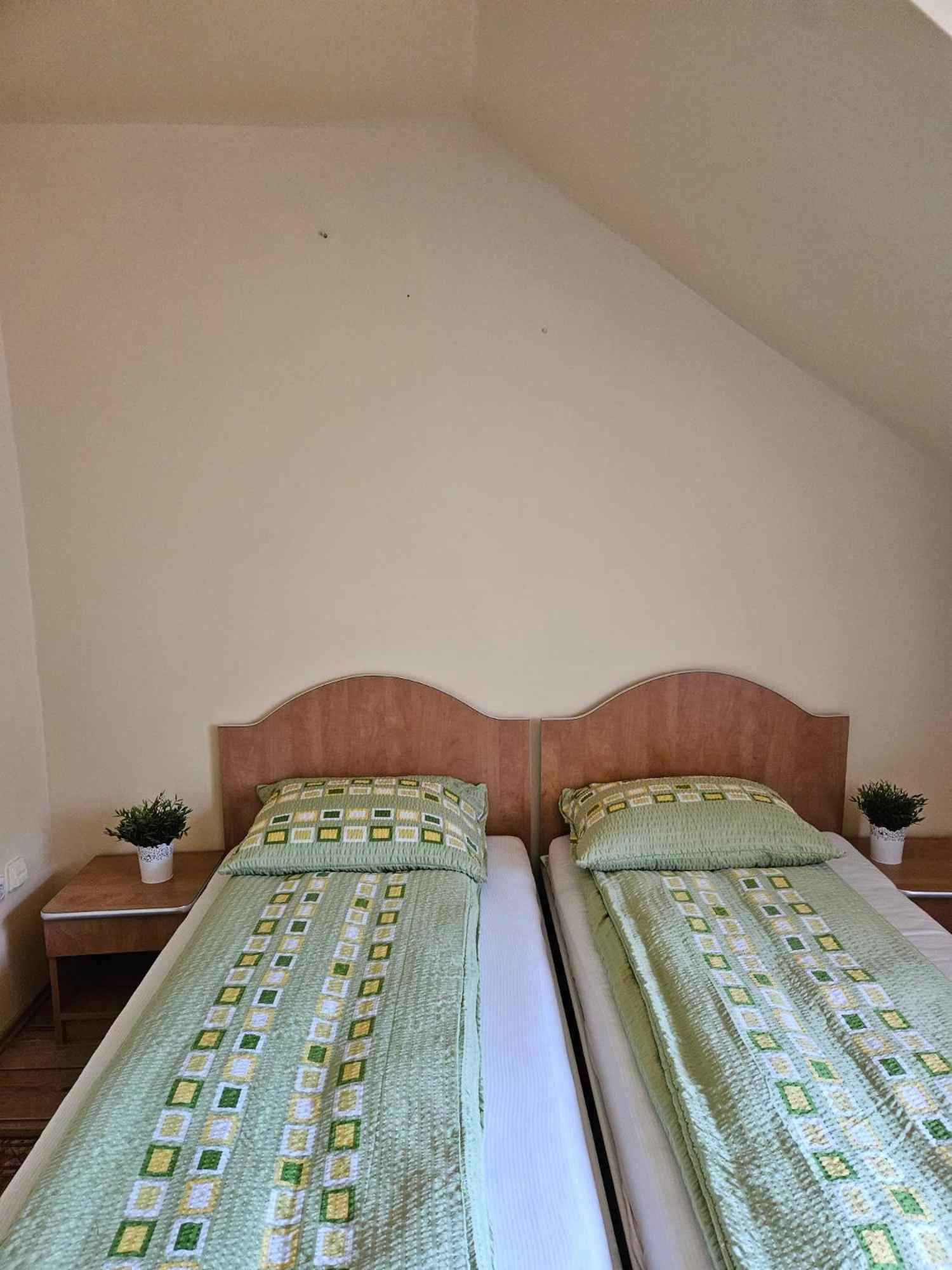 Panzio Anett Bed & Breakfast Pietroasa  Ngoại thất bức ảnh