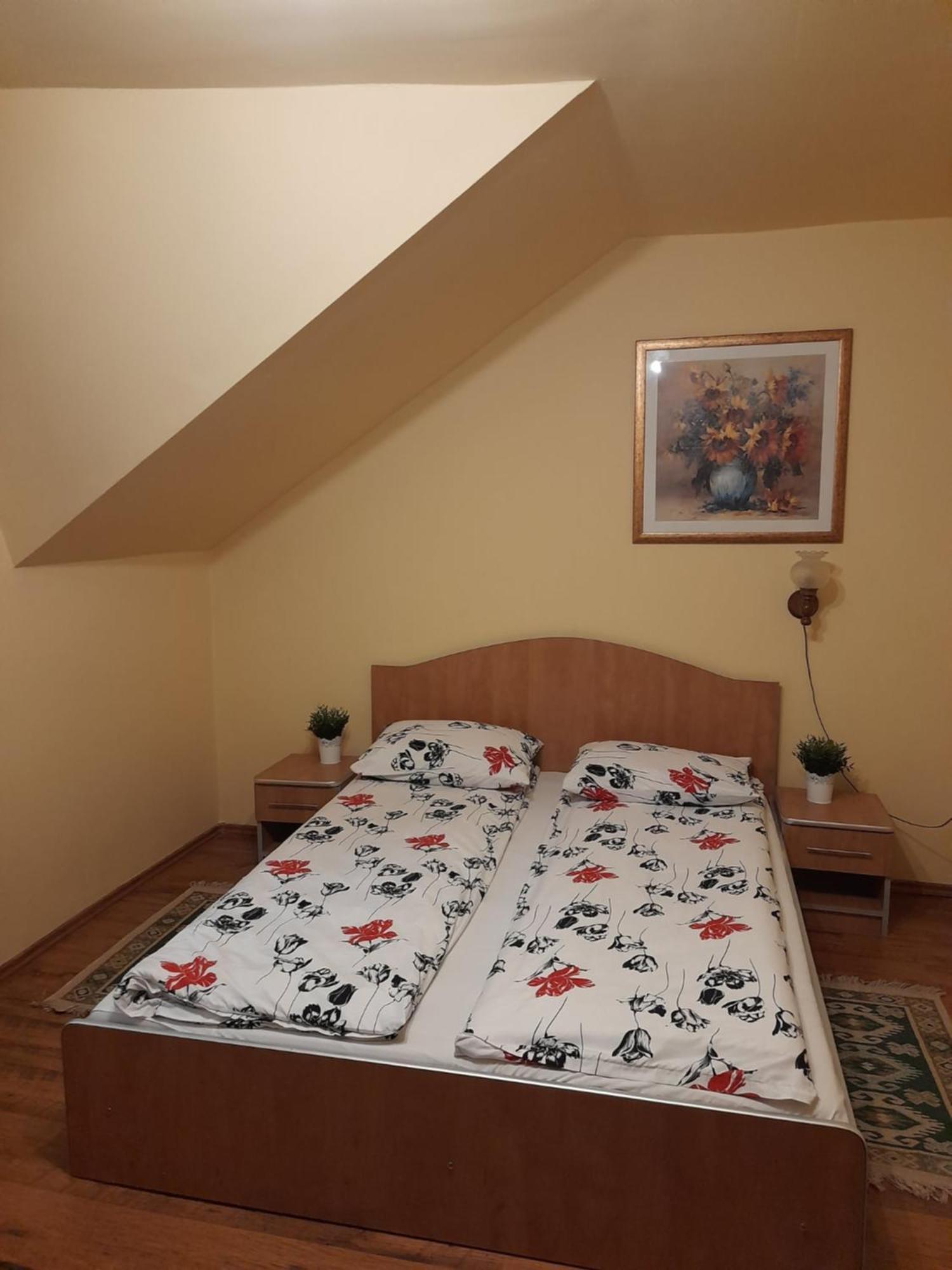 Panzio Anett Bed & Breakfast Pietroasa  Ngoại thất bức ảnh