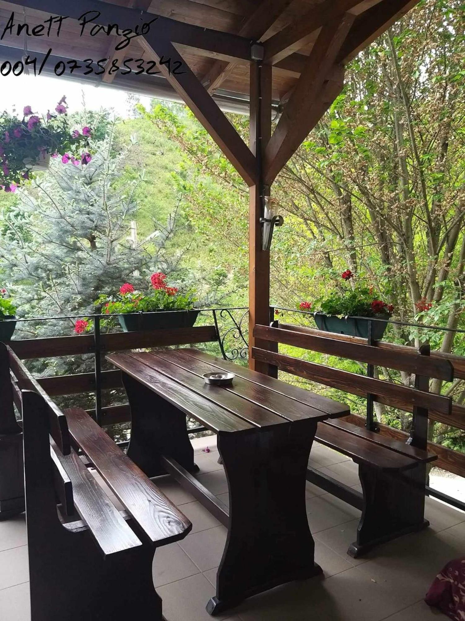 Panzio Anett Bed & Breakfast Pietroasa  Ngoại thất bức ảnh